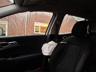 Kia Sportage 1.6 gdi hybrid   navi clima  147kw picture 19