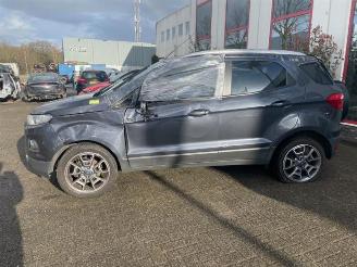 Ford EcoSport EcoSport (JK8), SUV, 2013 1.0 EcoBoost 12V 125 picture 3