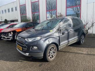 Ford EcoSport EcoSport (JK8), SUV, 2013 1.0 EcoBoost 12V 125 picture 2