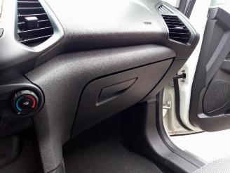 Ford EcoSport EcoSport (JK8), SUV, 2013 1.0 EcoBoost 12V 125 picture 28