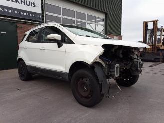 Ford EcoSport EcoSport (JK8), SUV, 2013 1.0 EcoBoost 12V 125 picture 10
