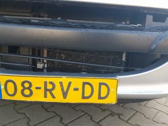 Peugeot 1007 1.4 Gentry picture 11