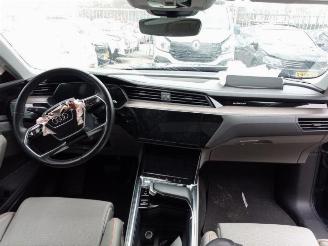 Audi E-tron E-tron (GEN), SUV, 2018 55 quattro picture 11