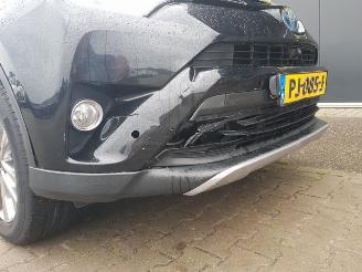 Toyota Rav-4 2.5 Hybrid Executive picture 12