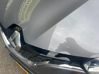 Renault Scenic 1.3 TCe Limited picture 14