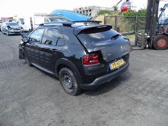 Citroën C4 cactus 1.2 12v picture 2