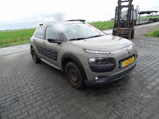 Citroën C4 cactus 1.2 12v picture 4