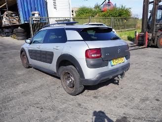 Citroën C4 cactus 1.6 HDI picture 2