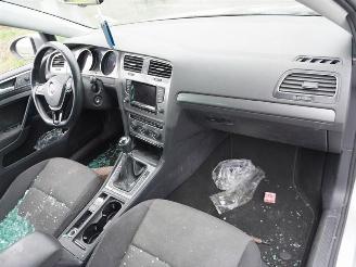 Volkswagen Golf variant 1.6 TDi picture 5