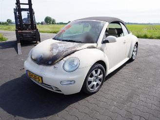 Volkswagen New-beetle Cabrio 2.0 picture 3