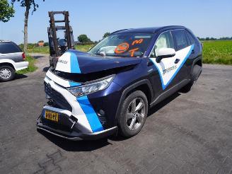 Toyota Rav-4 2.5 Hybrid picture 3