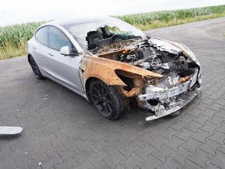 Tesla Model 3  picture 4