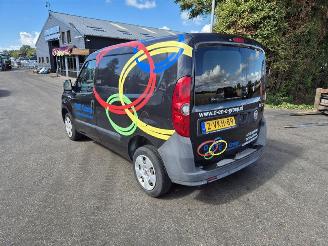 Fiat Doblo 1.3 D Multijet (263.A.2000) picture 2