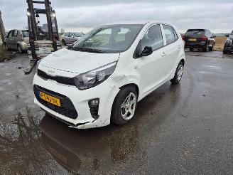 Kia Picanto 1.0 12v picture 3