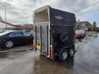 krockskadad bil aanhanger -  Thiel Pico 2013/9