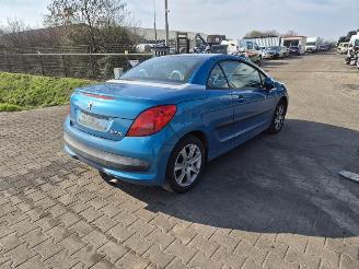 Salvage car Peugeot 206 CC 2.0 16v 2004/8