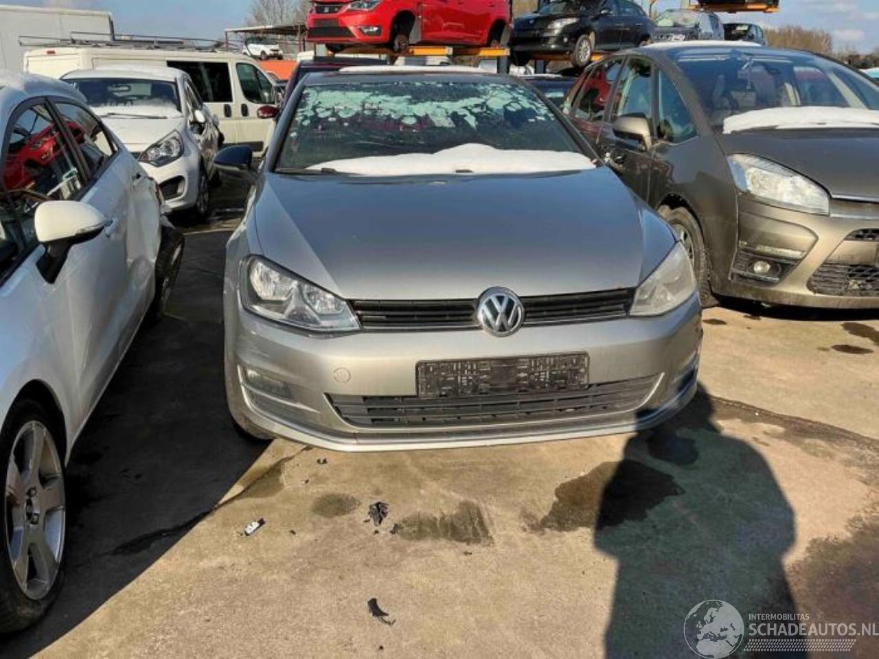 Volkswagen Golf Golf VII (AUA), Hatchback, 2012 / 2021 1.4 TSI 16V