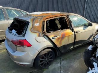 Volkswagen Golf Golf VII (AUA), Hatchback, 2012 / 2021 1.4 TSI 16V picture 4