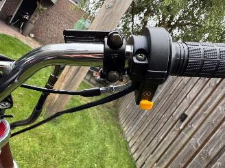 Ural  Pitbike picture 6