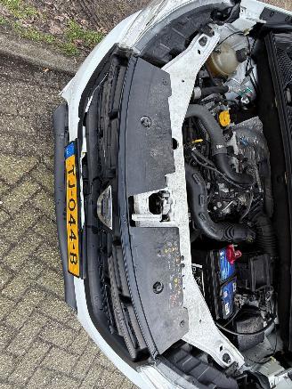 Dacia Lodgy 85 kW (116 PK)  1199 cc. picture 11