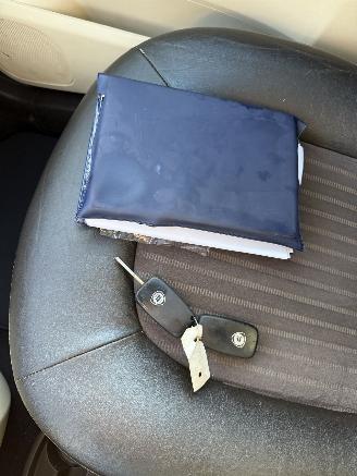 Lancia Musa  picture 17