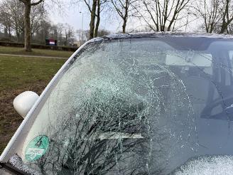 Fiat 500  picture 11