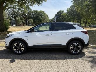 Opel Grandland X picture 2