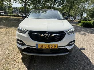 Opel Grandland X picture 8