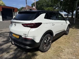 Opel Grandland X picture 5