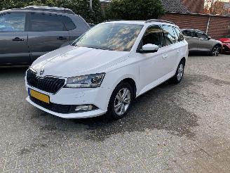 skadebil auto Skoda Fabia 1.0 TSi Combi 70 KW 2019/1
