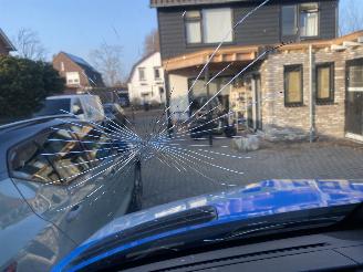 Mercedes Sprinter 3151.9  CDi L2 WB 367 cm Pro HD picture 30