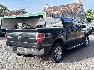 Ford F 150  picture 5