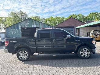 Ford F 150  picture 6