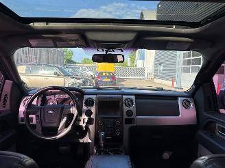 Ford F 150  picture 10