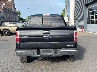 Ford F 150  picture 8