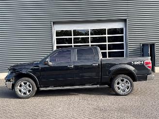 Ford F 150  picture 2