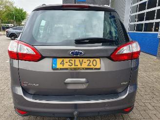 Ford Grand C-Max 1.0 Titanium 7persoons picture 6