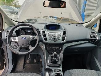 Ford Grand C-Max 1.0 Titanium 7persoons picture 19