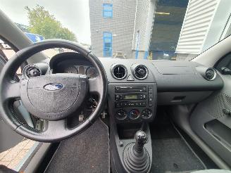 Ford Fiesta 1.25-16V Celebration picture 13