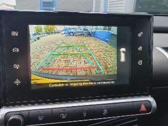 Citroën C4 cactus 1.6 BlueHDi Business picture 20