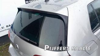 Volkswagen Golf Golf VII (AUA), Hatchback, 2012 / 2021 1.6 TDI BlueMotion 16V picture 23