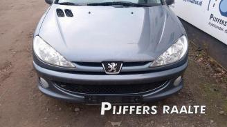 Peugeot 206 206 (2A/C/H/J/S), Hatchback, 1998 / 2012 1.4 XR,XS,XT,Gentry picture 4