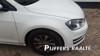 Volkswagen Golf Golf VII (AUA), Hatchback, 2012 / 2021 1.2 TSI 16V picture 6