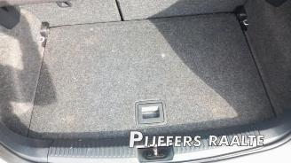 Volkswagen Polo Polo V (6R), Hatchback, 2009 / 2017 1.6 TDI 16V 90 picture 21