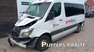 Mercedes Sprinter Sprinter 3,5t (906.73), Bus, 2006 / 2020 314 CDI 16V picture 2
