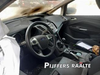 Ford Grand C-Max Grand C-Max (DXA), MPV, 2010 / 2019 1.0 Ti-VCT EcoBoost 12V 125 picture 27