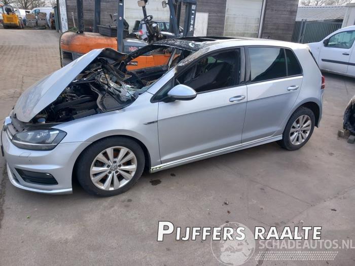 Volkswagen Golf Golf VII (AUA), Hatchback, 2012 / 2021 1.4 TSI 16V