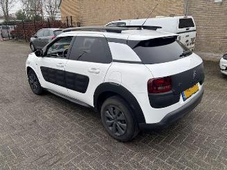 Citroën C4 cactus 1.6 HDI  Pano Business Plus picture 6