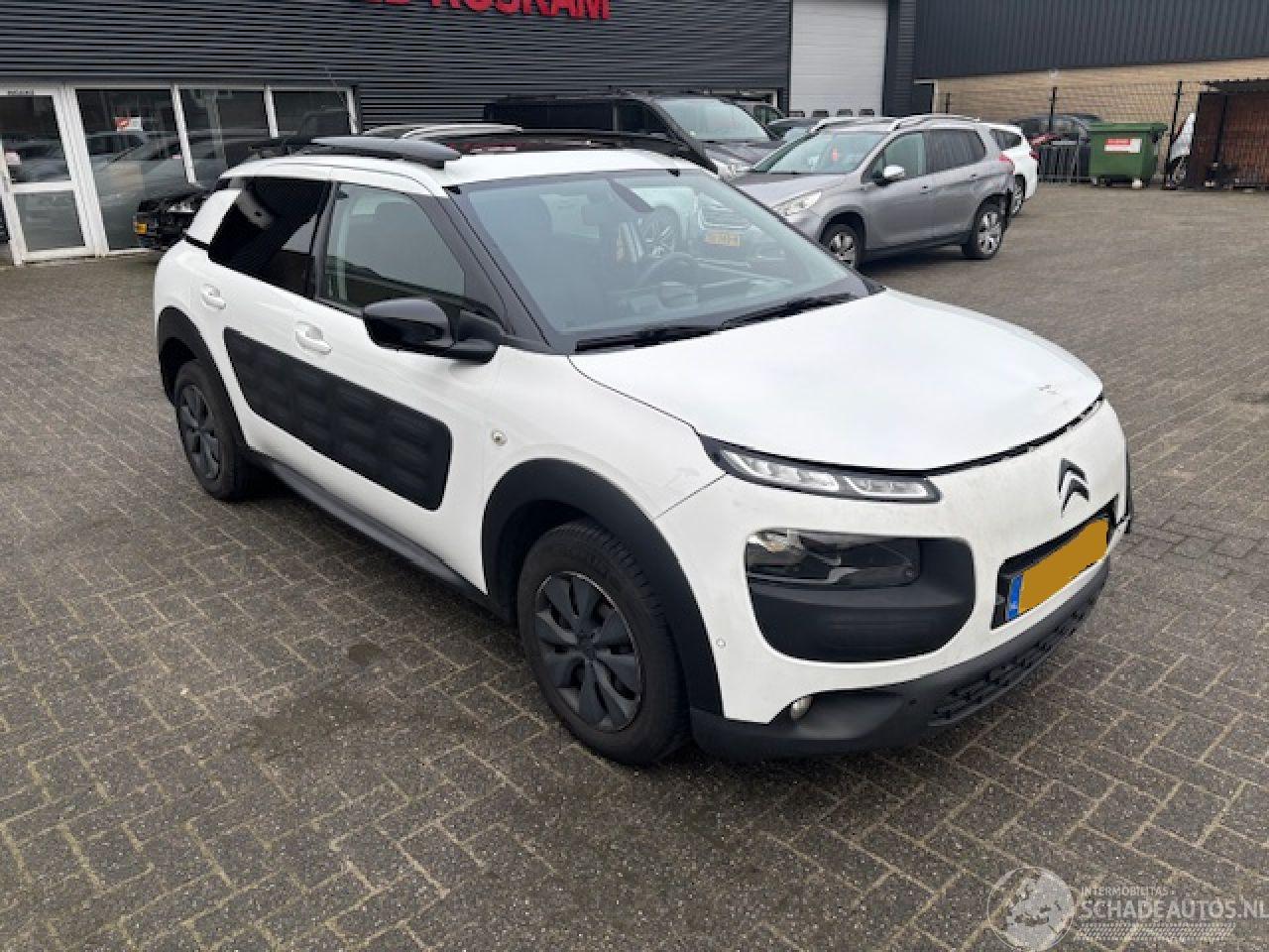 Citroën C4 cactus 1.6 HDI  Pano Business Plus
