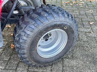 Quads  Eton Yukon 150cc Utility picture 9